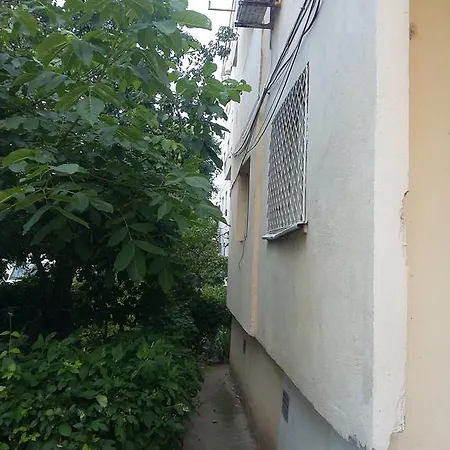 2 Constanţa